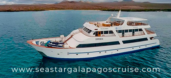 yate sea star galapagos cruise